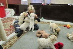 1762-37-1_03092011164602