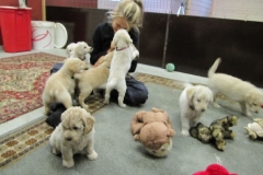 1763-37-1_03092011164605