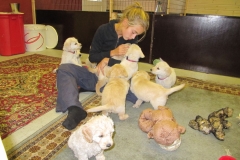 1764-37-1_03092011164607