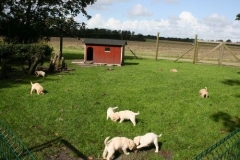 1765-37-1_09092011083410