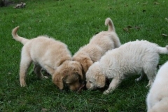 1766-37-1_09092011083410