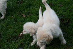 1767-37-1_09092011083410