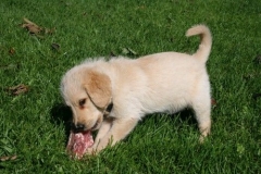 1771-37-1_09092011083410