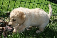 1773-37-1_09092011083411