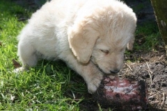 1775-37-1_09092011083411