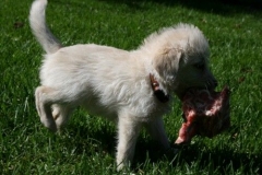 1776-37-1_09092011083411