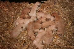 3502-55-1_05092012134714