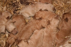 3503-55-1_05092012134714