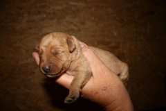 3505-55-1_05092012134714