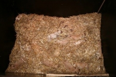 3507-55-1_05092012134714