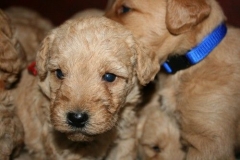 3608-55-1_25092012162331