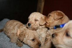 3609-55-1_25092012162332