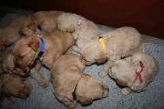 3610-55-1_25092012162332