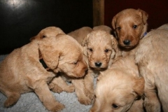 3611-55-1_25092012162332