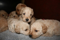 3612-55-1_25092012162332