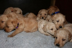 3613-55-1_25092012162332