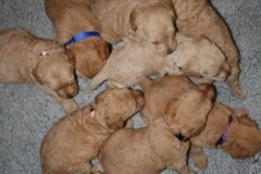 3614-55-1_25092012162332