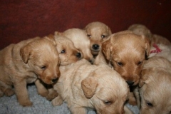 3615-55-1_25092012162332