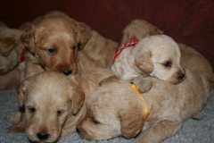 3616-55-1_25092012162332