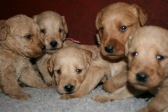 3618-55-1_25092012162333