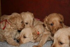 3619-55-1_25092012162333