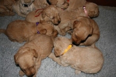 3625-55-1_25092012162334