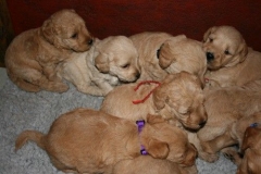 3626-55-1_25092012162334