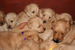 3628-55-1_25092012162334