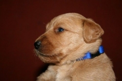 3639-55-1_25092012162335