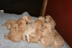 3640-55-1_25092012162335