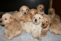 3641-55-1_25092012162335