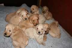 3642-55-1_25092012162335