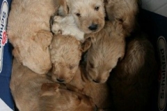 3643-55-1_25092012162336