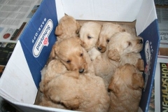 3646-55-1_25092012162336