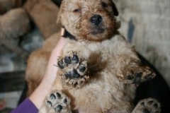 3649-55-1_26092012184819