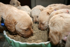 3657-55-1_26092012184820