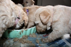 3658-55-1_26092012184820