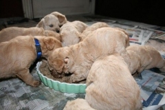 3659-55-1_26092012184820