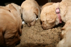 3664-55-1_26092012184821