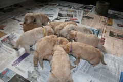 3667-55-1_26092012184821