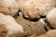 3668-55-1_26092012184821