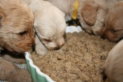 3670-55-1_26092012184821