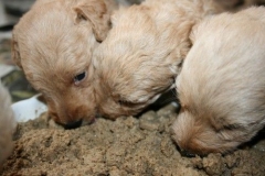 3671-55-1_26092012184821