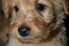 3673-55-1_17102012180517