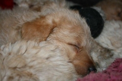 3674-55-1_17102012180517