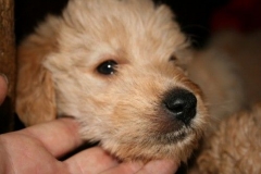 3679-55-1_17102012180517