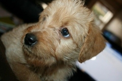 3688-55-1_17102012180518